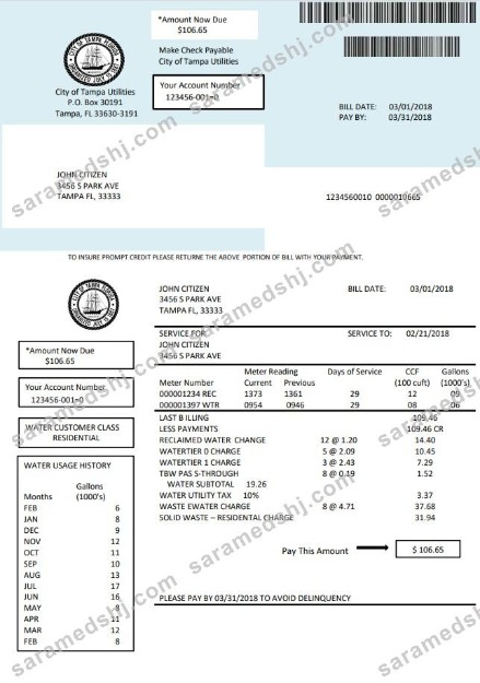USA Florida water utility bill template in Word and PDF format